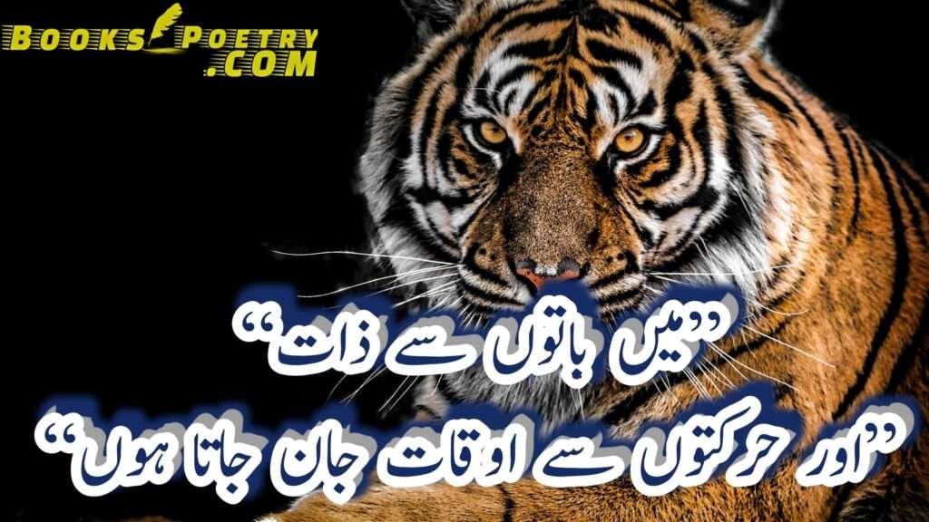 99 Best Attitude Poetry in Urdu with images