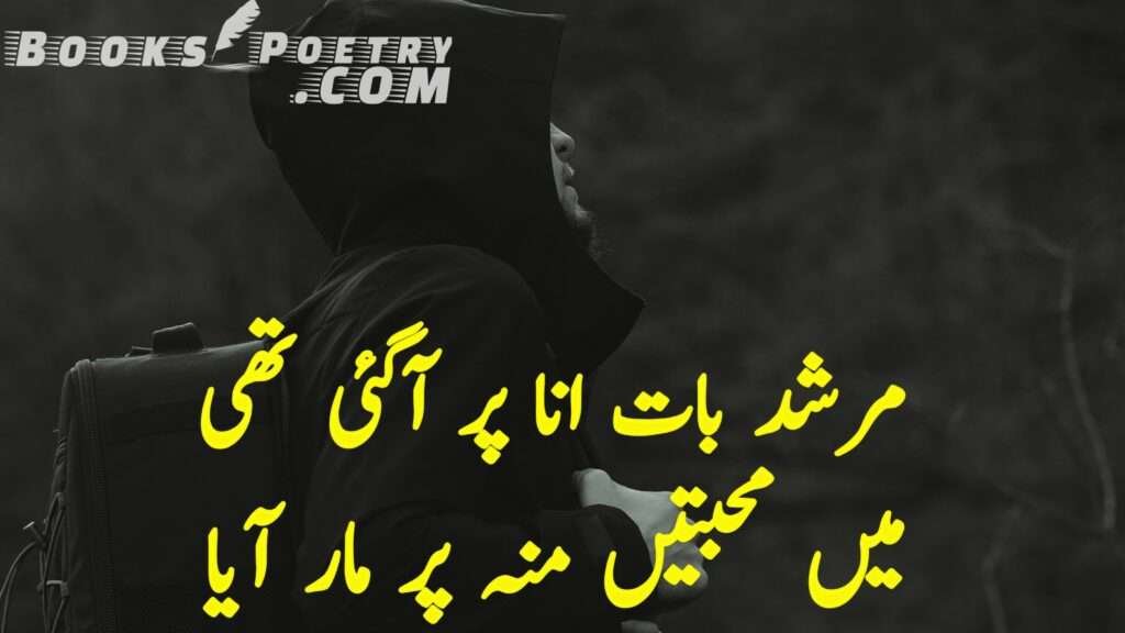 99 Best Attitude Poetry in Urdu with images